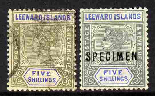 Leeward Islands 1890 QV 5s green & blue a used forgery on genuine Crown CA paper with Specimen example as comparison as SG 8  (Ex M N Oliver), stamps on , stamps on  stamps on , stamps on  stamps on  qv , stamps on  stamps on forgery, stamps on  stamps on forgeries