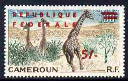 Cameroun 1961 5s on 100f Airplane over Giraffe unmounted mint, SG 295a, stamps on , stamps on  stamps on aviation, stamps on  stamps on animals, stamps on  stamps on giraffe