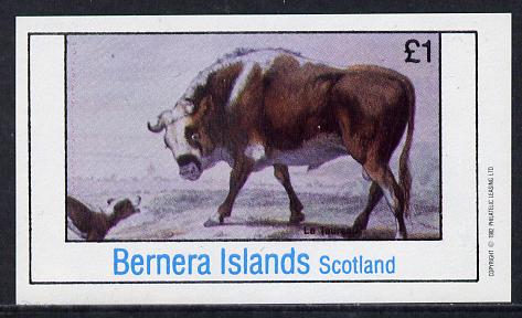 Bernera 1982 Animals (Bull) imperf souvenir sheet (£1 value) unmounted mint, stamps on animals    bovine