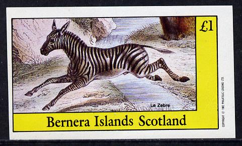Bernera 1982 Animals (Zebra) imperf souvenir sheet (£1 value) unmounted mint, stamps on animals   horse    zebras, stamps on horses, stamps on zebra