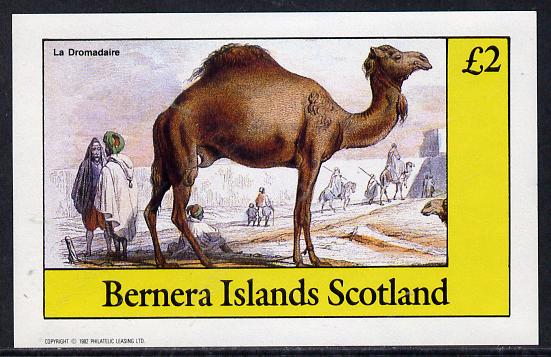 Bernera 1982 Animals (Camel) imperf deluxe sheet (£2 value) unmounted mint, stamps on animals, stamps on camel
