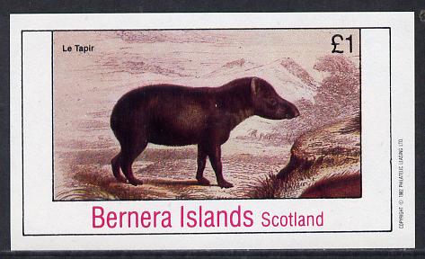 Bernera 1982 Animals (Le Tapir) imperf souvenir sheet (£1 value) unmounted mint, stamps on animals