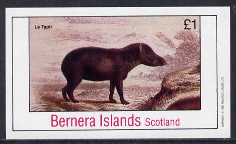 Bernera 1982 Animals (Le Tapir) imperf souvenir sheet (Â£1 value) unmounted mint, stamps on animals