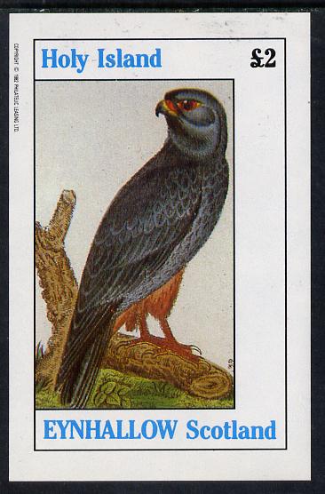 Eynhallow 1982 Birds of Prey #02 imperf deluxe sheet (Â£2 value) unmounted mint, stamps on birds, stamps on birds of prey