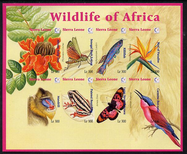 Sierra Leone 1995 Singapore '95 Stamp Exhibition - African Flora & Fauna imperf sheetlet #1 containing 8 values unmounted mint, as SG 2366a, stamps on , stamps on  stamps on stamp exhibitions, stamps on  stamps on flowers, stamps on  stamps on birds, stamps on  stamps on fish, stamps on  stamps on insects, stamps on  stamps on butterflies, stamps on  stamps on animals, stamps on  stamps on apes, stamps on  stamps on frogs