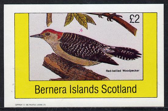Bernera 1982 Birds #20 (Red Bellied Woodpecker) imperf deluxe sheet (£2 value) unmounted mint, stamps on birds    woodpecker