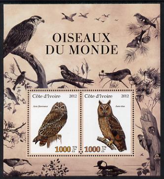 Ivory Coast 2012 Birds of the World #2 perf sheetlet containing 2 values unmounted mint, stamps on birds, stamps on birds of prey, stamps on owls
