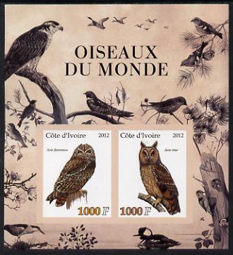 Ivory Coast 2012 Birds of the World #2 imperf sheetlet containing 2 values unmounted mint, stamps on , stamps on  stamps on birds, stamps on  stamps on birds of prey, stamps on  stamps on owls