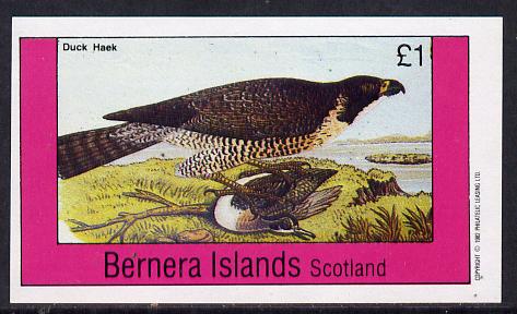 Bernera 1982 Duck Hawk imperf souvenir sheet (Â£1 value) unmounted mint, stamps on birds, stamps on birds of prey