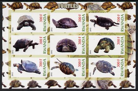 Rwanda 2012 Turtles imperf sheetlet containing 9 values unmounted mint, stamps on , stamps on  stamps on animals, stamps on  stamps on reptiles, stamps on  stamps on turtles