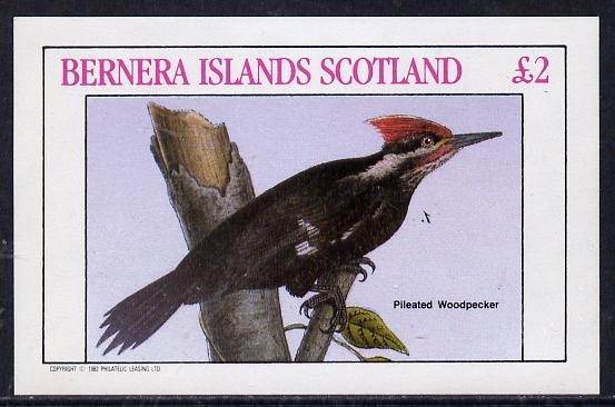 Bernera 1982 Woodpecker imperf deluxe sheet (£2 value) unmounted mint, stamps on birds    woodpecker