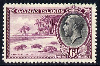 Cayman Islands 1935 KG5 Pictorial - Hawksbill Turtles 6d bright purple & black mounted mint, SG 103, stamps on , stamps on  kg5 , stamps on turtles