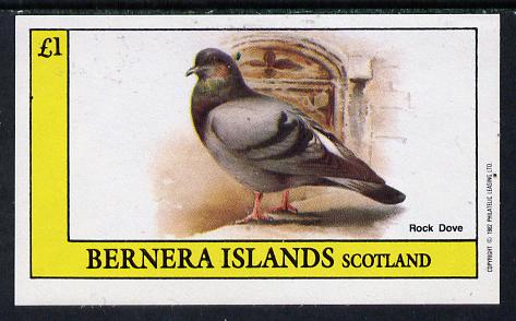 Bernera 1982 Rock Dove imperf souvenir sheet (£1 value) unmounted mint, stamps on birds, stamps on doves