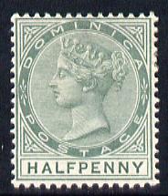 Dominica 1886-90 QV Crown CA 1/2d dull green mounted mint SG 20, stamps on , stamps on  qv , stamps on 