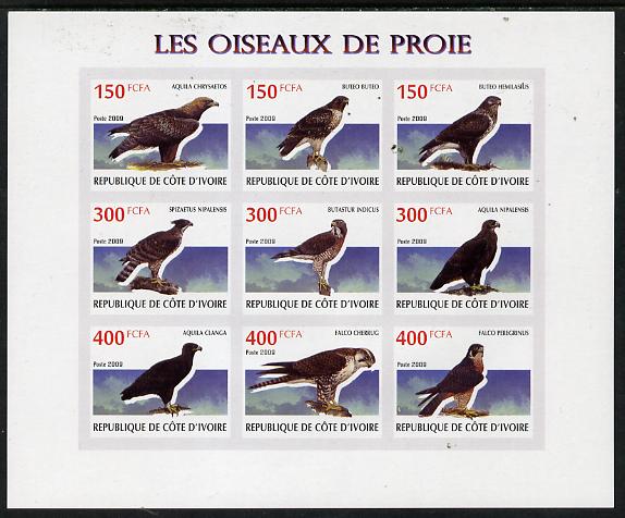 Ivory Coast 2009 Birds of Prey imperf sheetlet containing 9 values unmounted mint, stamps on , stamps on  stamps on birds, stamps on  stamps on birds of prey