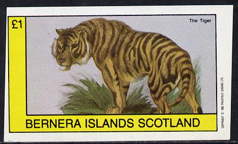 Bernera 1982 Animals (Tiger) imperf souvenir sheet (£1 value) unmounted mint, stamps on animals   cats