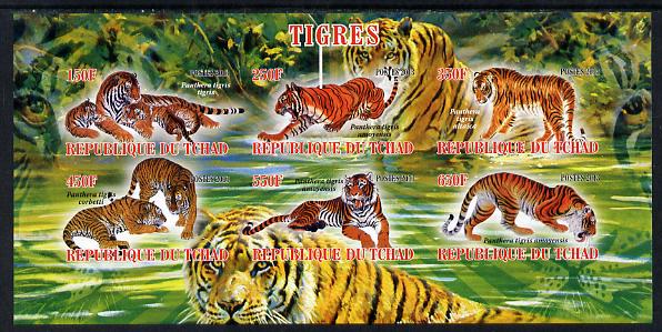 Chad 2013 Tigers imperf sheetlet containing 6 values unmounted mint, stamps on animals, stamps on cats, stamps on lions, stamps on tigers
