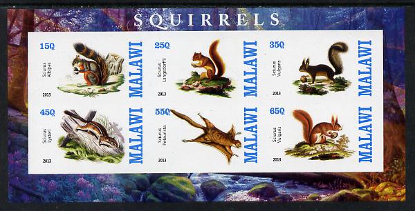 Malawi 2013 Squirrels imperf sheetlet containing 6 values unmounted mint, stamps on animals, stamps on squirrels