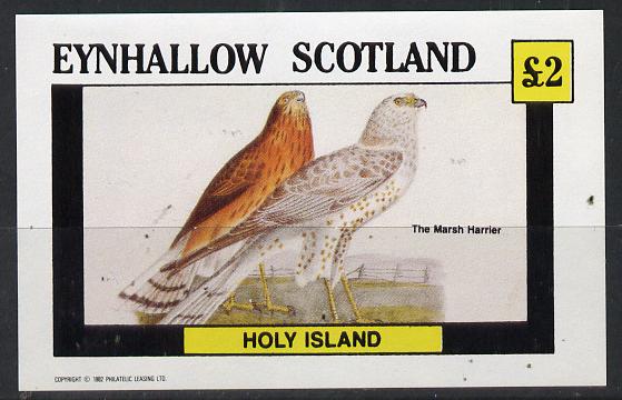 Eynhallow 1982 Marsh Harrier imperf deluxe sheet (£2 value) unmounted mint, stamps on birds, stamps on birds of prey