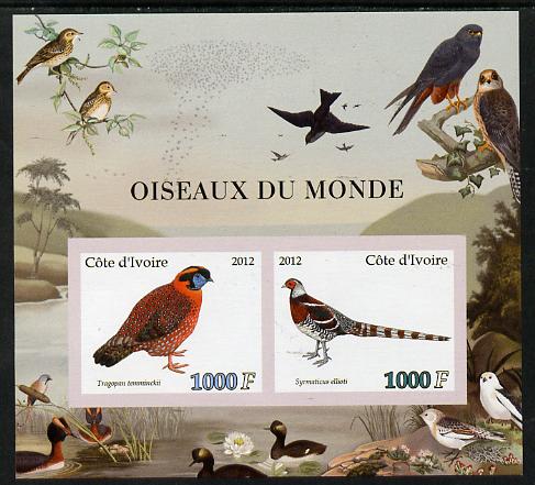 Ivory Coast 2012 Birds of the World #1 imperf sheetlet containing 2 values unmounted mint, stamps on birds, stamps on tragopan, stamps on pheasant
