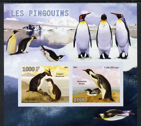 Djibouti 2013 Penguins imperf sheetlet containing two values unmounted mint, stamps on , stamps on  stamps on birds, stamps on  stamps on penguins, stamps on  stamps on polar