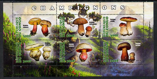 Congo 2013 Fungi #3 perf sheetlet containing six values unmounted mint, stamps on fungi