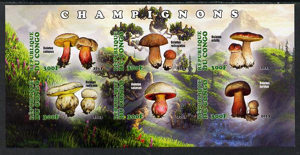 Congo 2013 Fungi #3 imperf sheetlet containing six values unmounted mint, stamps on fungi