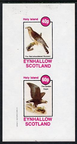 Eynhallow 1982 Birds #12 (Buzzard & Eagle) imperf  set of 2 values (40p & 60p) unmounted mint, stamps on , stamps on  stamps on birds, stamps on  stamps on birds of prey