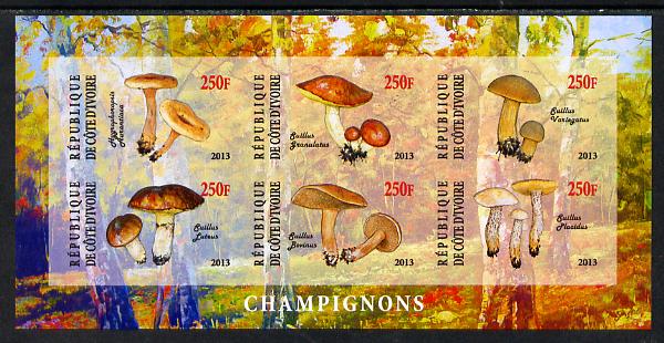 Ivory Coast 2013 Fungi #3 imperf sheetlet containing 6 values unmounted mint, stamps on fungi