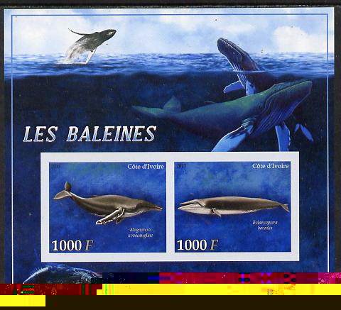 Ivory Coast 2013 Whales imperf sheetlet containing 2 values unmounted mint, stamps on whales, stamps on dolphins, stamps on marine life