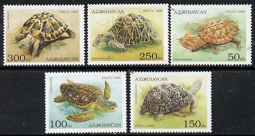 Azerbaijan 1995 Turtles perf set of 5 unmounted mint SG234-38, stamps on , stamps on  stamps on animals    marine-life     reptiles    turtles