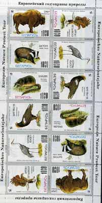 Byelorussian Nature Protection Society 1995 WWF sheetlet of 12 stamps (2 sets of 6 arranged tete-beche) with grey borders unmounted mint, stamps on wwf     animals     bovine    birds of prey    badger   , stamps on  wwf , stamps on 
