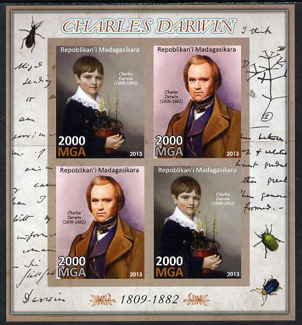 Madagascar 2013 Charles Darwin imperf sheetlet containing 4 values unmounted mint, stamps on , stamps on  stamps on personalities, stamps on  stamps on science, stamps on  stamps on animals, stamps on  stamps on insects