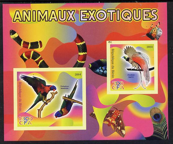 Benin 2014 Exotic Animals - Bird of Paradise & Lorikeet imperf sheetlet containing 2 values unmounted mint , stamps on , stamps on  stamps on birds, stamps on  stamps on bird of paradise, stamps on  stamps on parrots, stamps on  stamps on snakes