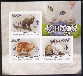 Djibouti 2014 Domestic Cats imperf sheetlet containing three values unmounted mint, stamps on , stamps on  stamps on cats
