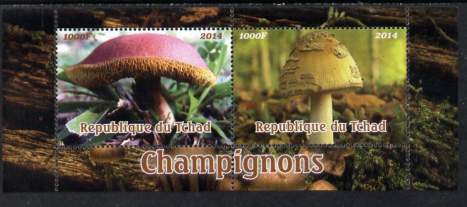 Chad 2014 Fungi #2 perf sheetlet containing 2 values unmounted mint. Note this item is privately produced and is offered purely on its thematic appeal. . , stamps on fungi