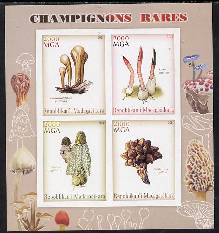 Madagascar 2014 Rare Mushrooms imperf sheetlet containing 4 values unmounted mint, stamps on fungi