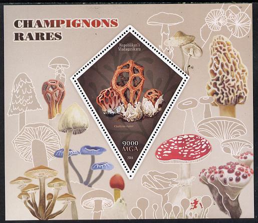 Madagascar 2014 Rare Mushrooms perf deluxe sheet containing one diamond shaped value unmounted mint, stamps on fungi, stamps on shaped, stamps on diamond