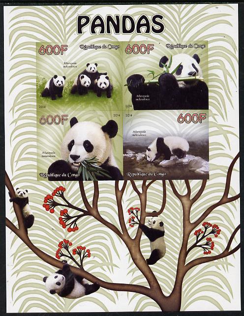 Congo 2014 Pandas imperf sheetlet containing 4 values unmounted mint, stamps on , stamps on  stamps on animals, stamps on  stamps on bears, stamps on  stamps on pandas