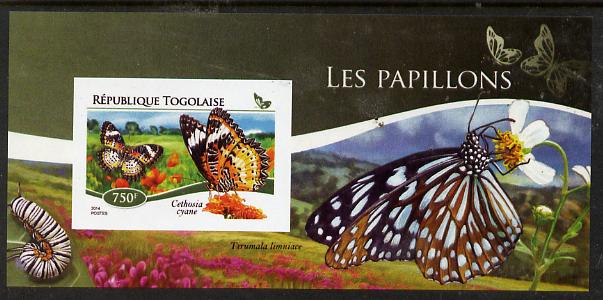 Togo 2015 Butterflies #01 imperf s/sheet unmounted mint. Note this item is privately produced and is offered purely on its thematic appeal, stamps on butterflies, stamps on 