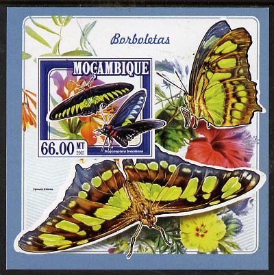 Mozambique 2015 Butterflies #4 imperf deluxe sheet unmounted mint. Note this item is privately produced and is offered purely on its thematic appeal , stamps on butterflies