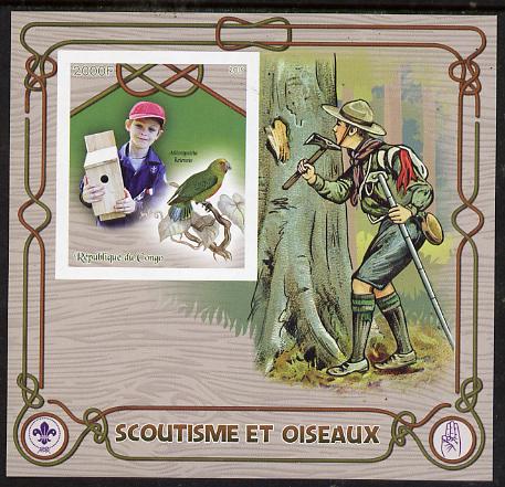 Congo 2015 Scouts & Birds imperf deluxe sheet #1 containing one value unmounted mint , stamps on scouts, stamps on birds, stamps on 