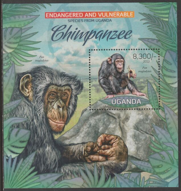 Uganda 2012 Endangered Species - Chimpanzee perf souvenir sheet  containing 1 value unmounted mint., stamps on , stamps on  wwf , stamps on chimps, stamps on chimpanzees, stamps on primates