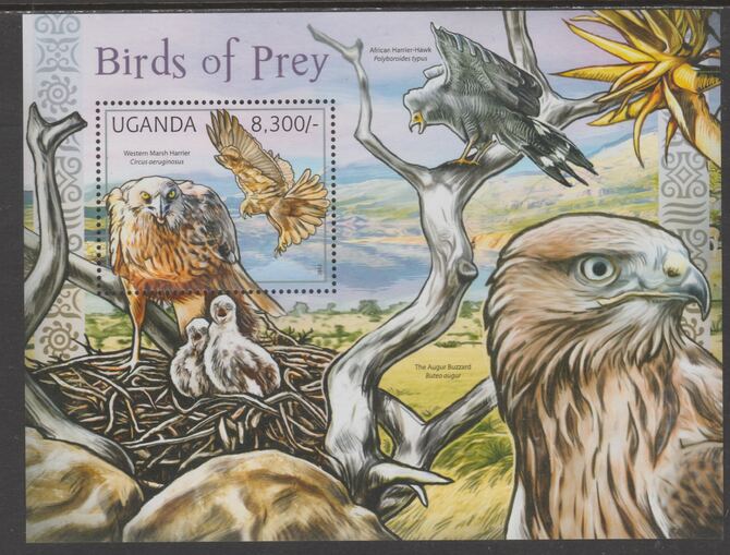Uganda 2012 Birds of Prey perf souvenir sheet  containing 1 value unmounted mint.t., stamps on birds of prey, stamps on harrier, stamps on buzzard, stamps on hawk