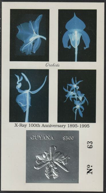 Guyana 1995 Centenary of X-Rays - Orchids imperf deluxe sheet embossed in silver foil on glossy card, unmounted mint and numbered from a limited printing, stamps on , stamps on  stamps on orchids, stamps on  stamps on x-rays, stamps on  stamps on science