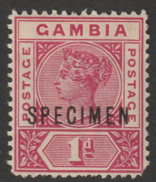 Gambia 1898 QV Key Plate 1d overprinted SPECIMEN with gum but short corner, only about 750 produced SG 38s, stamps on , stamps on  stamps on specimens