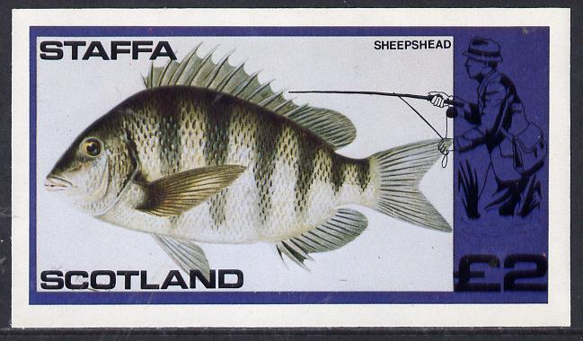 Staffa 1979 Fish #04 (Sheepshead) imperf  deluxe sheet (£2 value) unmounted mint, stamps on fish     marine-life