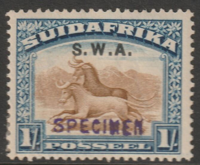 South West Africa 1927 Pictorial 1s (Afrikaans single) handstamped SPECIMEN poor gum and only about 400 produced SG 64s, stamps on specimens