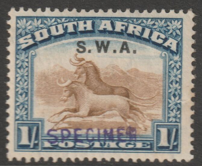 South West Africa 1927 Pictorial 1s (English single) handstamped SPECIMEN poor gum and only about 400 produced SG 64s, stamps on specimens