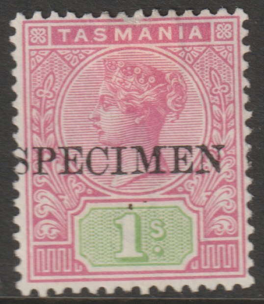 Tasmania 1892 QV 1s overprinted SPECIMEN without gum and only 345 produced SG 221s, stamps on specimens